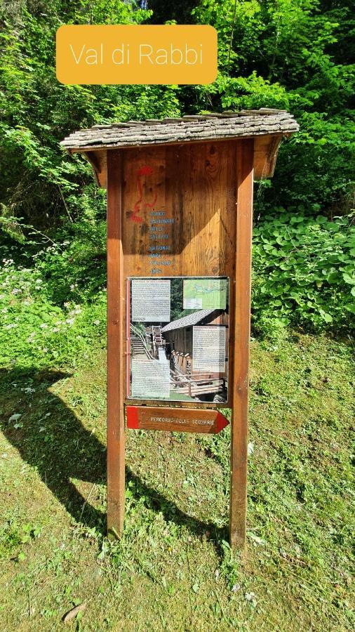 Marmot Apartment Dimaro Zewnętrze zdjęcie