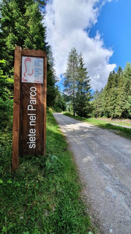 Marmot Apartment Dimaro Zewnętrze zdjęcie