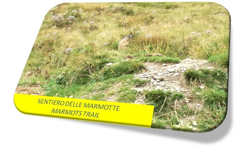 Marmot Apartment Dimaro Zewnętrze zdjęcie