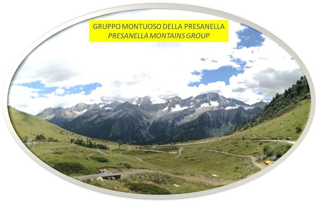 Marmot Apartment Dimaro Zewnętrze zdjęcie