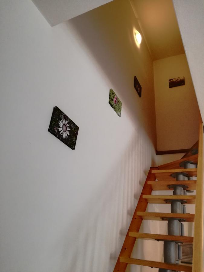 Marmot Apartment Dimaro Zewnętrze zdjęcie